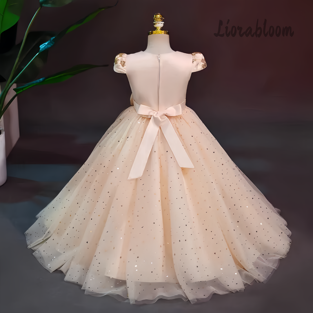 Formal Multicolor Evening Gown - Formal Wear Women Us avaliação e preço