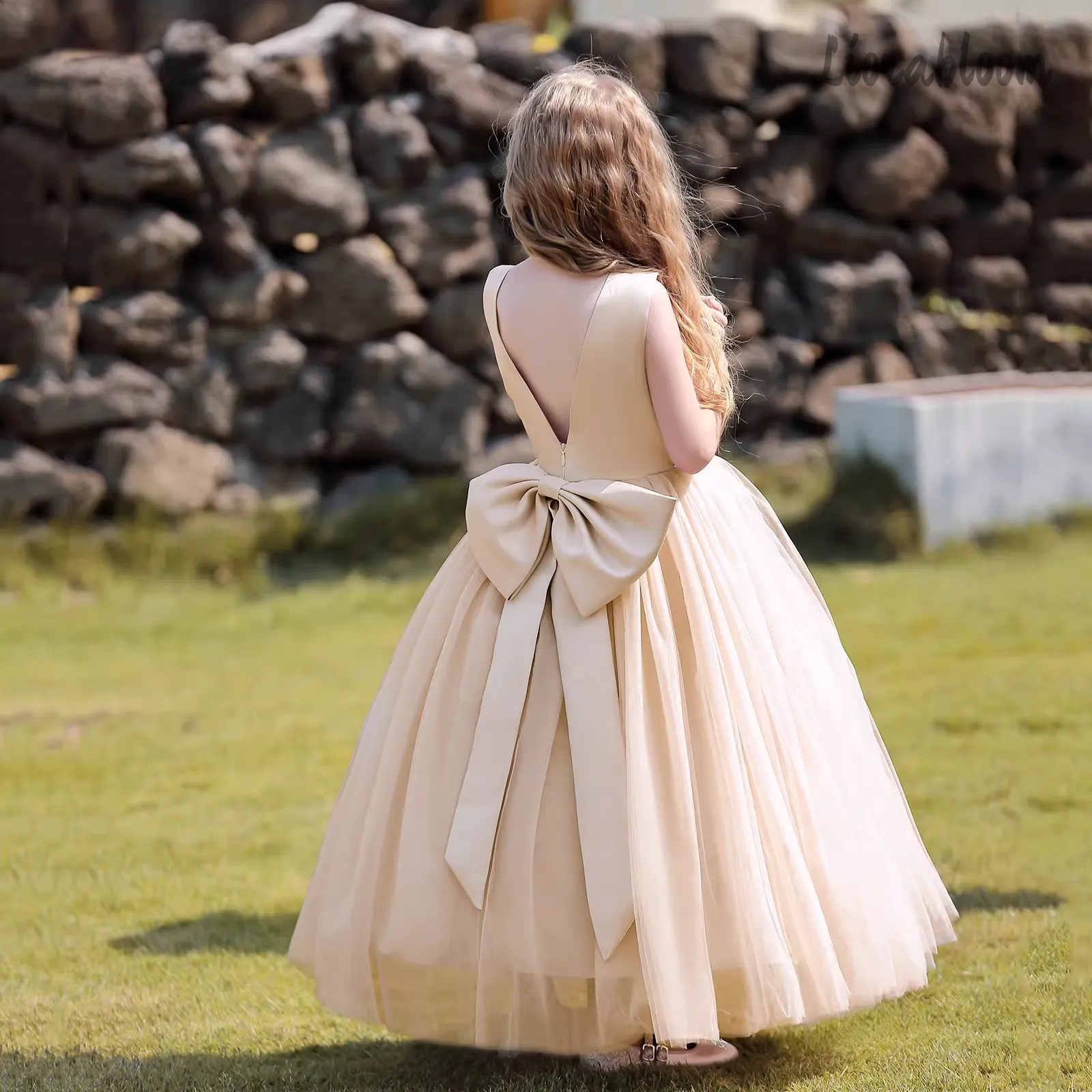 Multicolor Backless Princess D - Formal Wear Women Us avaliação e preço